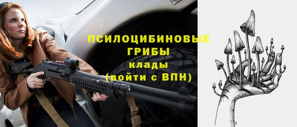 гашик Армянск