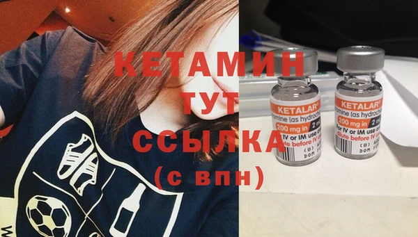 стафф Аркадак