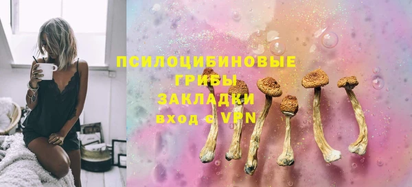 ешки Новокубанск