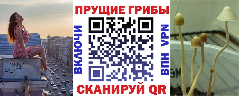 Псилоцибиновые грибы Magic Shrooms Сковородино